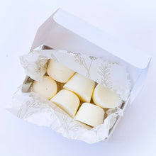 Load image into Gallery viewer, Wax Melts - Summer Daze (Coconut)
