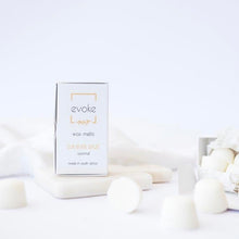 Load image into Gallery viewer, Wax Melts - Summer Daze (Coconut)
